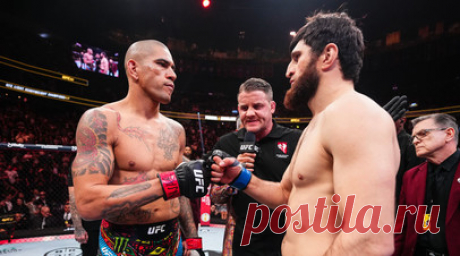 Анкалаев — Перейре: ты заслуживаешь реванш. Чемпион UFC в полутяжёлом весе россиянин Магомед Анкалаев высказался в адрес бразильца Алекса Перейры. Читать далее