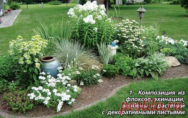 КАК СОЗДАТЬ САД СВОЕЙ МЕЧТЫ НАЧИНАЮЩИМ ДАЧНИКАМ?