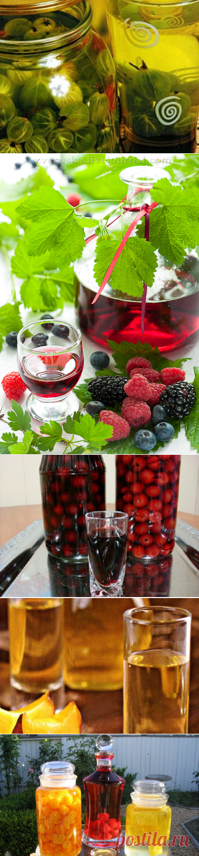 Приготовление настоек в домашних условиях