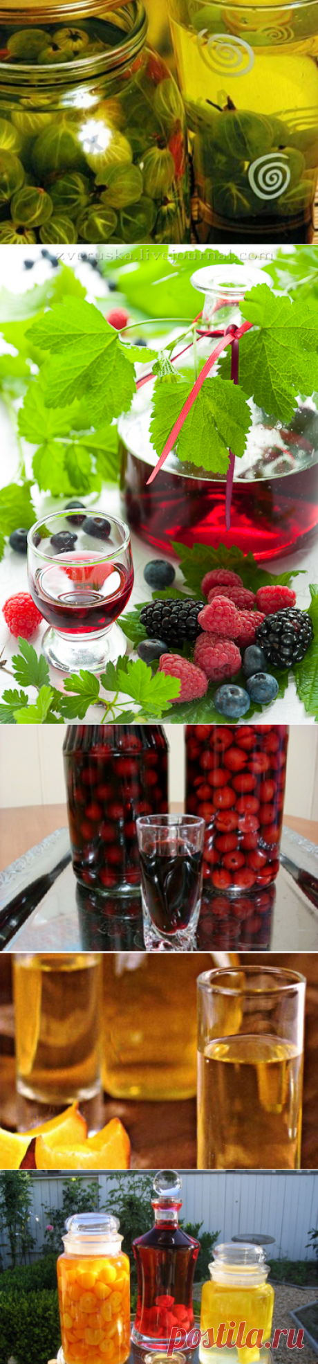 Приготовление настоек в домашних условиях