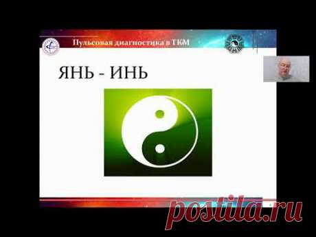 01 Занятие Инь Янь  Пять Первоэлементов