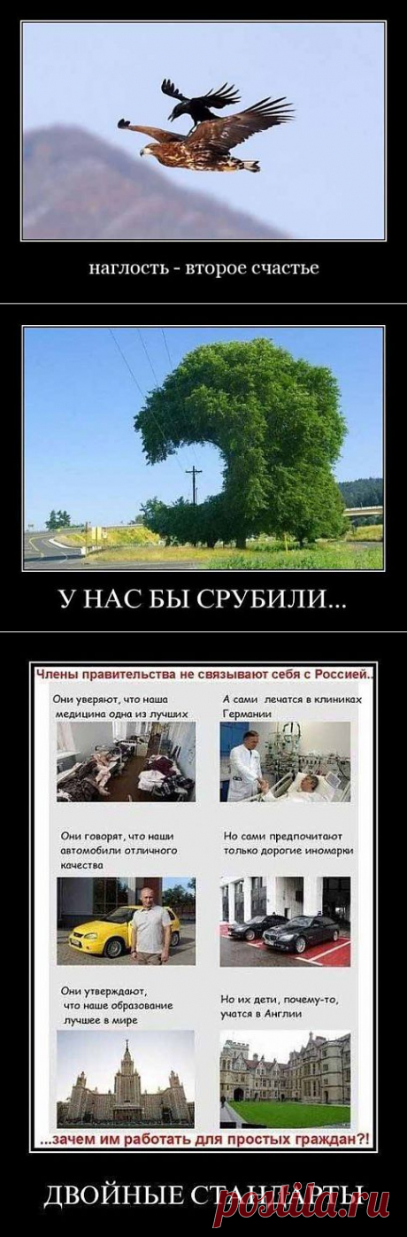 (+1) сообщ - Прикольные картинки | ПРИКОЛЫ