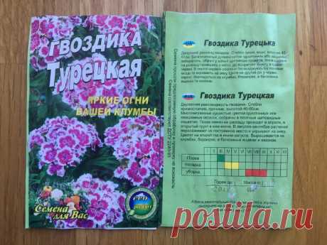 Купить семена Гвоздика Турецкая почтой по Украине в интернет магазине