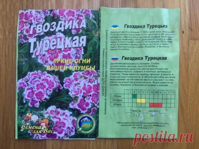 Купить семена Гвоздика Турецкая почтой по Украине в интернет магазине