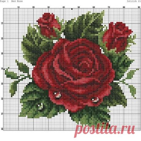 📍📍Hayırlı günler
🌹Şablonlar pinterestten
.
.
👉İletişim için DM 👈
#şablon #etamin #etaminşablonları #etaminşablon #kanavice #kanaviceşablon #rose #flower #pinterest #çeyiz #çeyizliklif #çeyizlik #gül #işlemeşablonu