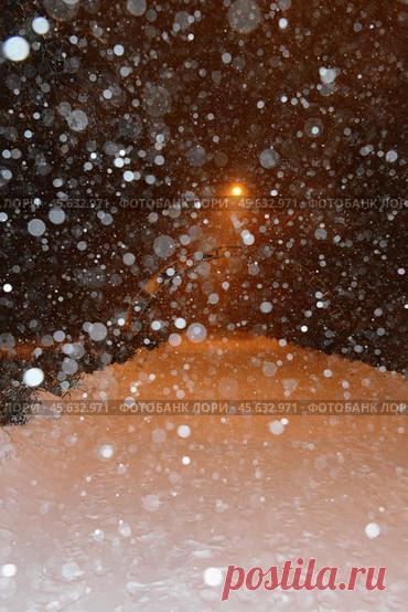 Snow covered road at winter night in a city park. Winter weather, night time snow. Стоковое фото, фотограф Ilaronsia / Фотобанк Лори