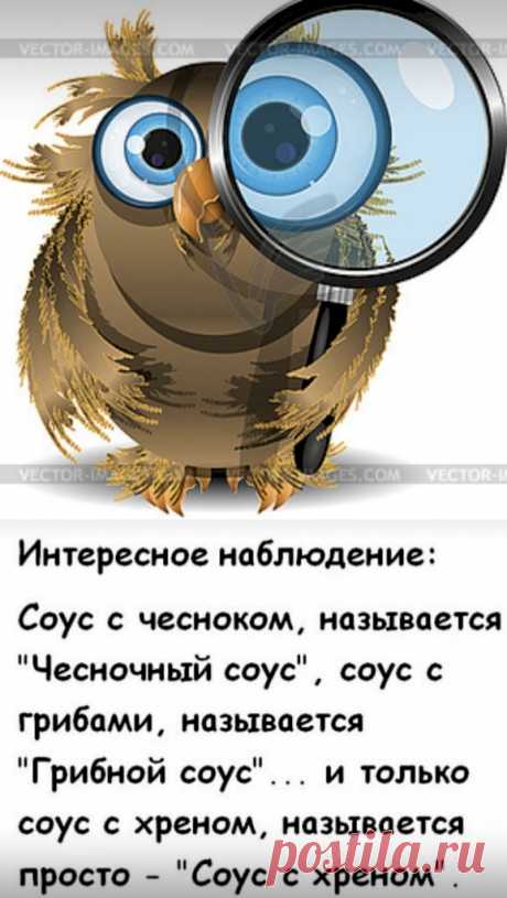 7662dacc.jpg (578×1024)