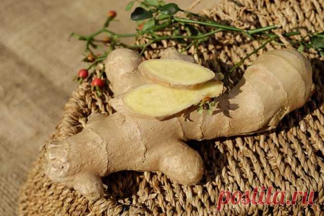 Корень имбиря: как и с чем его употребляют | Кулинарная статья на koolinar.ru