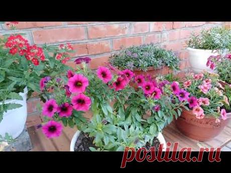 Вот прошёл третий сезон моей торговли!