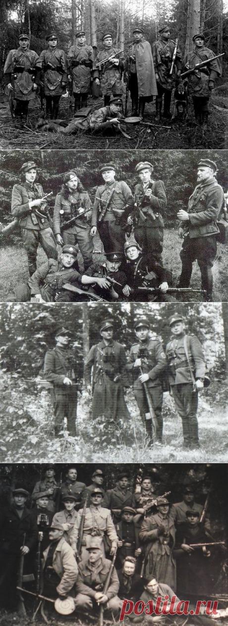 «Лесные братья»: ночные властители Прибалтики | БЕЛЫЕ СТРАНИЦЫ ИСТОРИИ