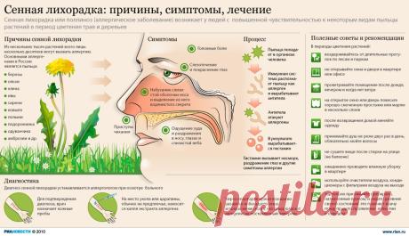 Причины и лечение сенной лихорадки | РИА Новости