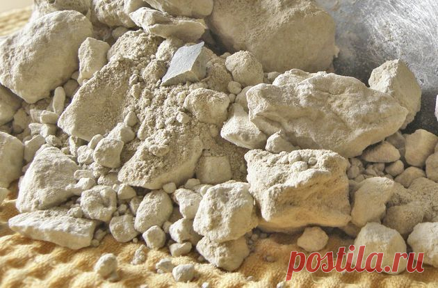 Минерал диатомит: польза для почвы и растений