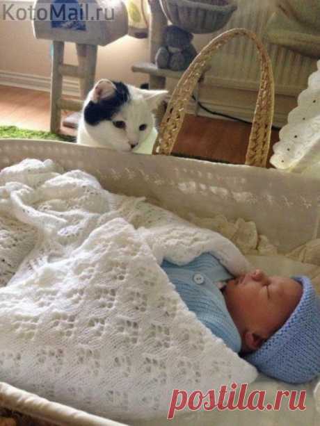 &quot;Арина Родионовна&quot;