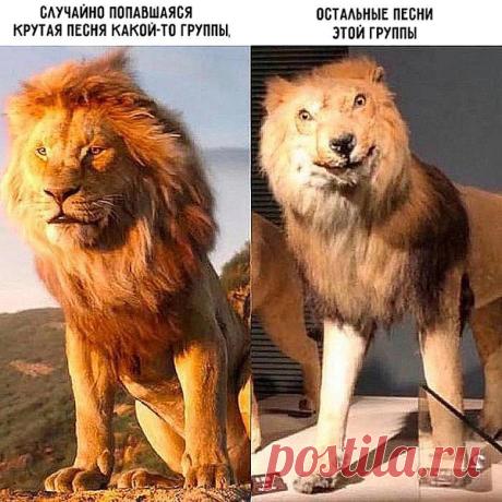 Почему одни треки становятся хитами, а другие — нет? 🎶 Этот мем идеально иллюстрирует ситуацию: одна песня группы взрывает чарты, а остальные остаются в тени. Знакомо? Добавляйте в плейлист только проверенные хиты! #музыкальныйплейлист #топтреков #группа #песни