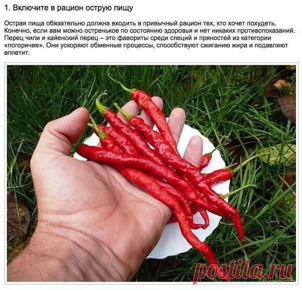 Искусство здоровой жизни - Page 674 of 841 -