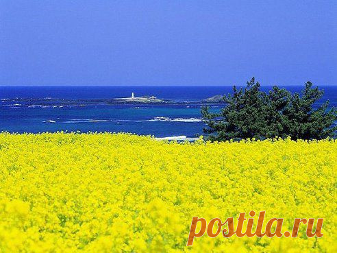 Яскравого ранку Вам, Українці, та гарного дня!)))))))