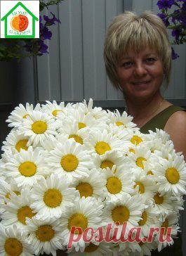 Мы продолжаем фотоконкурс "Я и мой зеленый питомец".

В конце марта мы выберем фото с наибольшим числом лайков и оно появится у нас на аватарке. 
http://odnoklassniki.ru/homegardens/album/53020234219750

Для участия вам необходимо разместить в новом альбоме 
фото, где ВЫ изображены с вашими садовыми, комнатными цветами, овощами с ваших грядок. Главное - вы вырастили их сами. В конкурсе принимают участие фото, размещенные с 27 февраля по 31 марта включительно.
•••