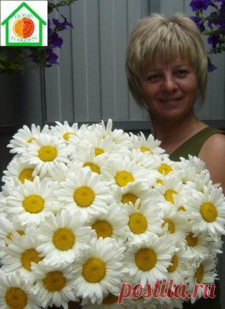 Мы продолжаем фотоконкурс &quot;Я и мой зеленый питомец&quot;.

В конце марта мы выберем фото с наибольшим числом лайков и оно появится у нас на аватарке. 
https://odnoklassniki.ru/homegardens/album/53020234219750

Для участия вам необходимо разместить в новом альбоме 
фото, где ВЫ изображены с вашими садовыми, комнатными цветами, овощами с ваших грядок. Главное - вы вырастили их сами. В конкурсе принимают участие фото, размещенные с 27 февраля по 31 марта включительно.
•••