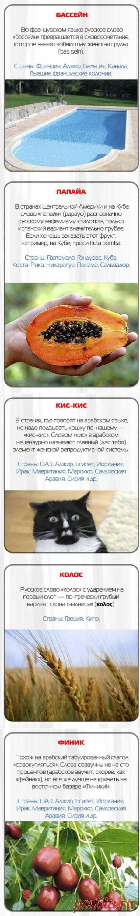 Русские слова-табу заграницей / Туристический спутник