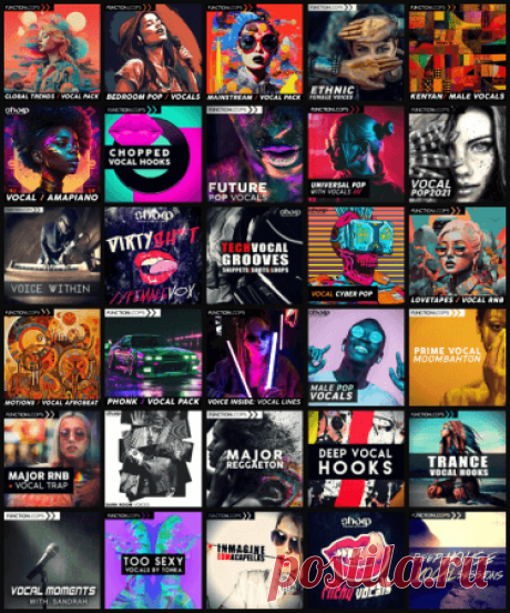 Function Loops 14 Anniversary Supreme Vocal Collection [WAV, MiDi] » MusicEffect.ru - Electronic music