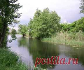 Берегите природу и ресурсы земли - сайт Природа