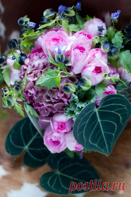 Найдено на сайте illony.com.