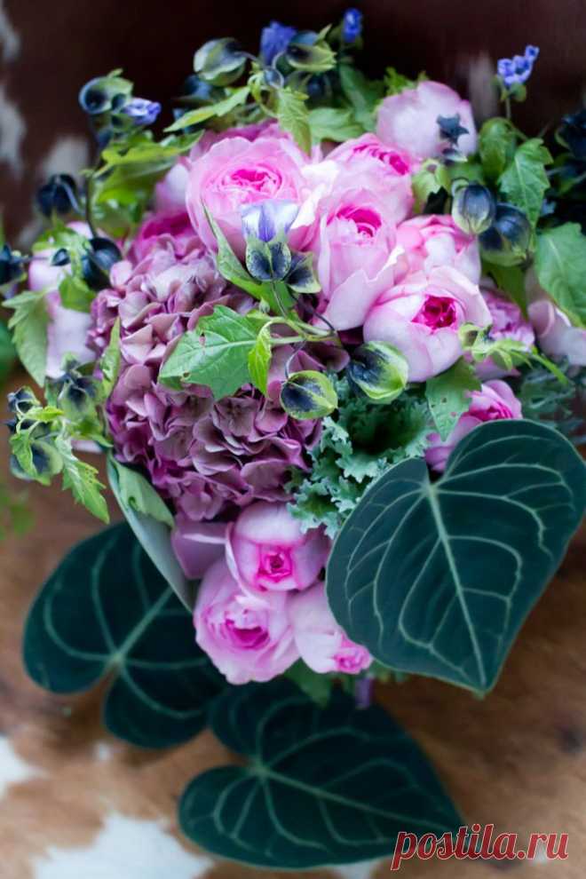 Найдено на сайте illony.com.