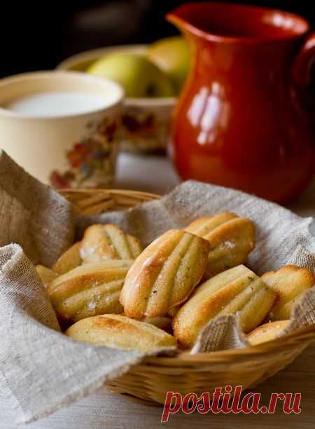 Мадлен с лимоном и розмарином на оливковом масле | Вкусный блог - рецепты под настроение