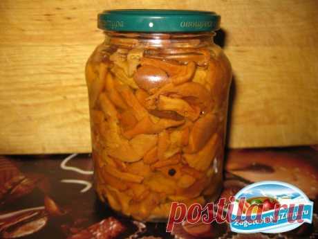 Маринованные лисички: простой рецепт