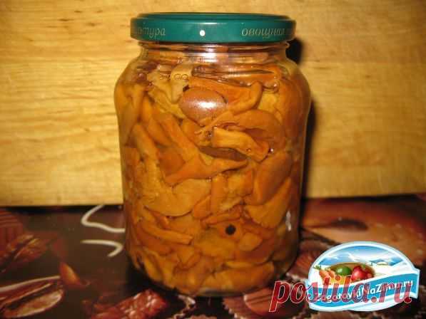 Маринованные лисички: простой рецепт