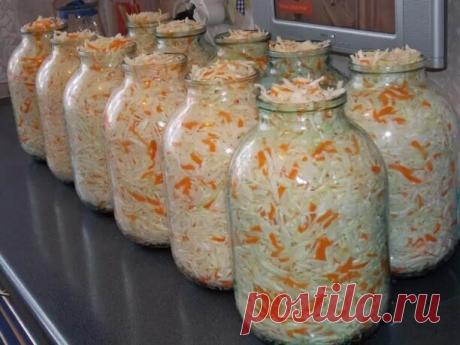 Готовим хрустящую квашеную капусточку.