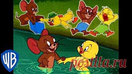 Tom & Jerry _ Best of Jerry and Little Quacker _ Classic Cartoon Compilation _ WB Kids