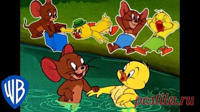 Tom & Jerry _ Best of Jerry and Little Quacker _ Classic Cartoon Compilation _ WB Kids