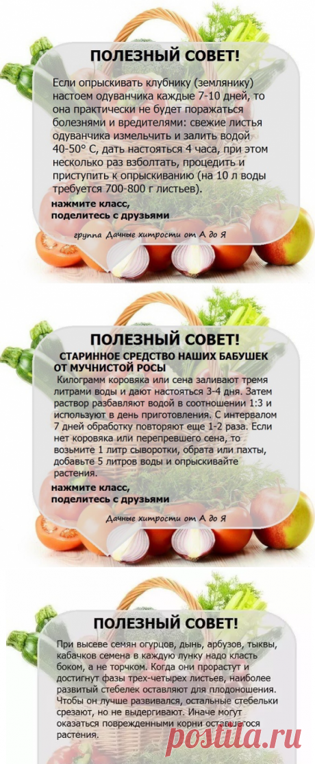 Одноклассники