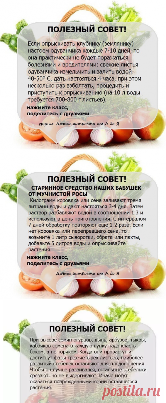 Одноклассники