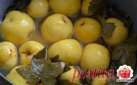 Моченые яблоки по бабушкиному рецепту на смородиновых листьях

Ингредиенты:
Яблоки - 5кг
Листья смородины - 30шт.
Вода - 5л
Сахар-200гр
Соль -1ст. л.

Приготовление
Готовим заливку. В кастрюлю наливаем воду, добавляем соль, сахар. Доводим до кипения и остужаем. По желанию сахар можно заменить медом (300г)
На дно стерилизованных банок положите по 2 листа смородины, сверху - яблоки. Затем снова чередуйте с листьями и т.д.
Заливаем остывшей заливкой и хорошо закрываем крышкой...