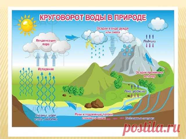 Картинки круговорот воды в природе (35 фото) ⭐ Забавник