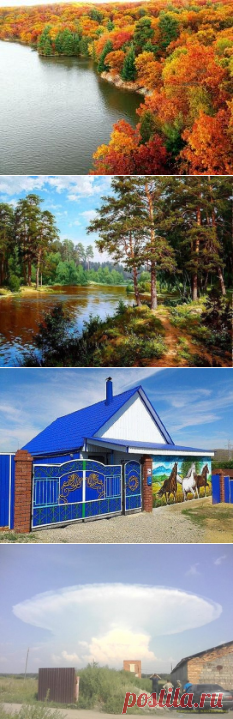 (7) Одноклассники
