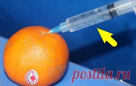 Как из обычного шприца сделать устройство, необходимое в каждом доме