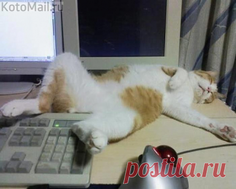 Отдыхаю... Не беспокоить