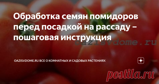 Обработка семян помидоров перед посадкой на рассаду – пошаговая инструкция Подготовка семян томатов к посеву на рассаду является одним из главных шагов на пути к хорошему урожаю. Никакой обработки и замачивания не требует только посевной материал, который уже обработан производителем. Остальные семена обязательно дезинфицируют (обеззараживают), при необходимости – закаливают, а чтобы всходы появились быстрее – замачивают в стимуляторах роста или проращивают. Не забудьте