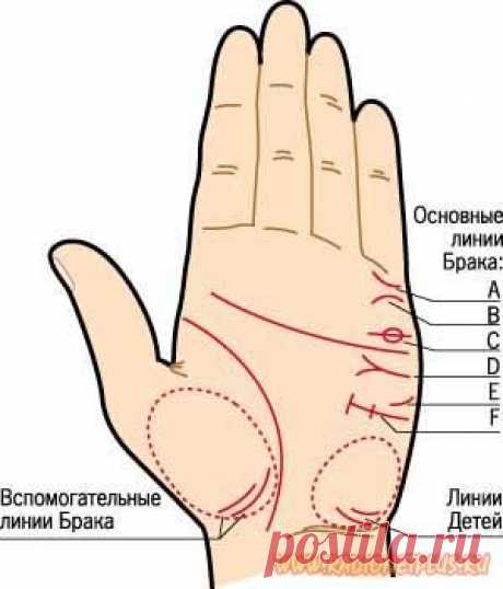 Идеальная ли вы пара? Посмотри на ладонь!