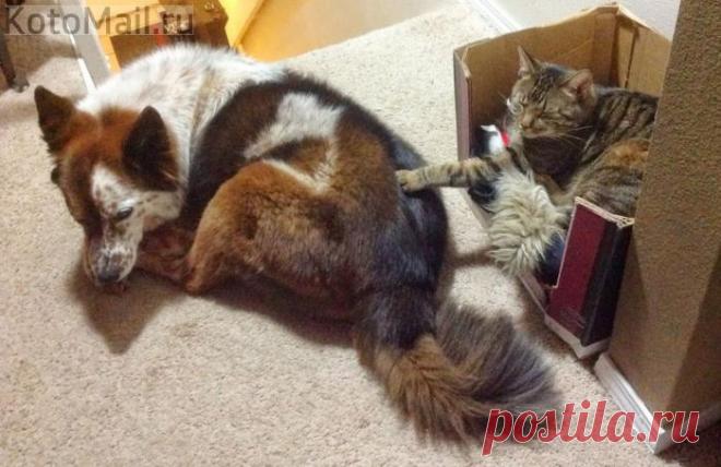 Может пошалим?