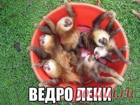 хх