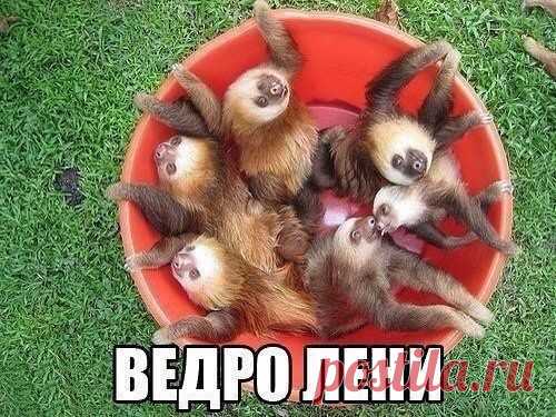 хх