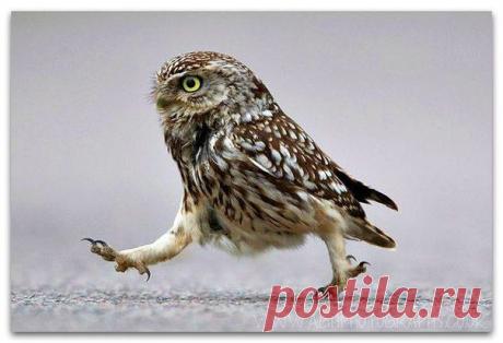 Чтобы избежать разочарования в людях, надо избавиться от иллюзий. Умейте принимать люде / Понимание бизнеса