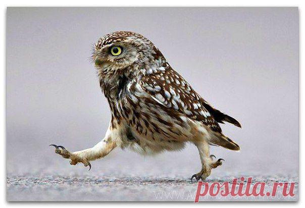 Чтобы избежать разочарования в людях, надо избавиться от иллюзий. Умейте принимать люде / Понимание бизнеса