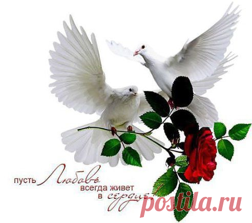 Не творите пакости, не желайте зла! 
И какой дорога бы трудной не была. 
Зависть - штука скверная... Чёрная ,как ночь!... 
Лучше бы, наверное, ближнему  помочь... 
Не творите гадости за чужой спиной. 
Подлость наказуема карой неземной... 
Пожелайте ближнему Счастья и Любви!... 
Но не стройте Блага... на чужой крови!​...
•••

релакс – мелодия песни Согдиана "Вспоминай меня"
Круиз – Как трудно жить без светлой сказки