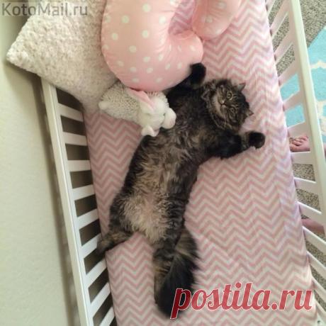 Я такую же кровать хочу!