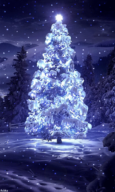 1101227.gif (480×800)